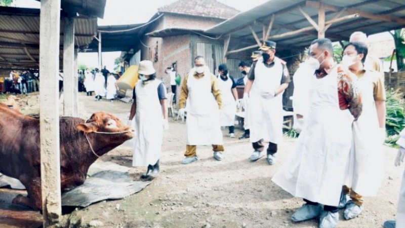 Menteri Pertanian (Mentan), Syahrul Yasin Limpo (SYL), bersama rombongan saat berkunjung ke Kabupaten Gresik, Jawa Timur, Selasa (10/5/2022).