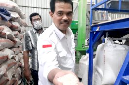 Kementan Tingkatkan Produksi Beras Lewat Revitalisasi RMU dan Inovasi Dryer