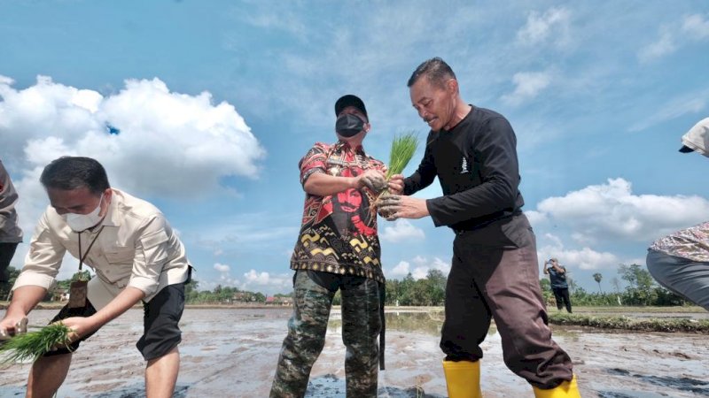 Gowa Mulai Budidaya Padi Organik, Enam Desa Jadi Lokasi Garapan