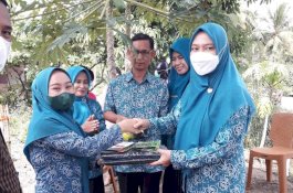 PKK Luwu Utara Bagi-bagi Benih Sayuran