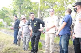 Canangkan Pertanaman IP300 di Jeneponto, Mentan SYL Optimistis Produksi Terus Meningkat