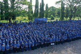 Kementerian PANRB Setujui 3.745 Kuota Penerimaan PPPK Pemprov Sulsel 2023