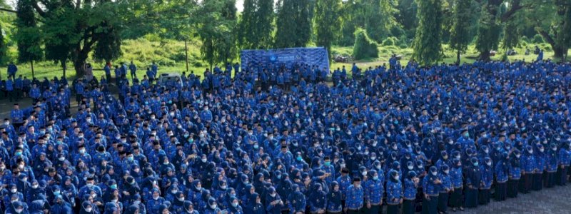 Kisah Menggetarkan Hati PPPK Pemprov Sulsel Terima SK Pengangkatan: Mulai dari Tunanetra hingga Mengabdi 20 Tahun