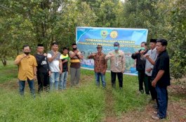 Barru Terus Genjot Budi Daya Cengkih, Luas Areal Kini 500 Hektare