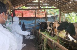 Kolaborasi Kementan dan Pemda Jateng Pastikan Hewan Kurban Sehat