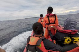 Dari 42 Penumpang, 31 Korban KM Ladang Pertiwi Sudah Ditemukan Selamat