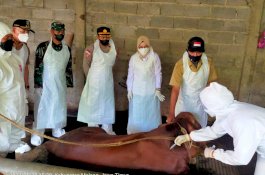 Kementan Gelar Pengobatan Sapi Gejala Klinis PMK