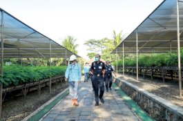 Kakanwil Bea Cukai Sulbagsel Kagumi Pengelolaan Lingkungan PT Vale