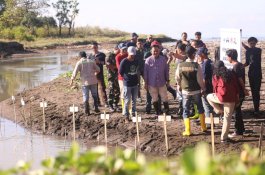 Bupati Bantaeng Hadiri Gerakan Reboisasi Sungai Nipa-nipa