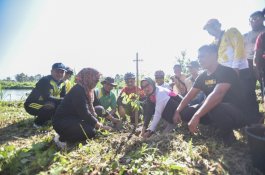 Bupati Luwu Utara Tanam 200 Pohon di Bantaran Sungai Baliase