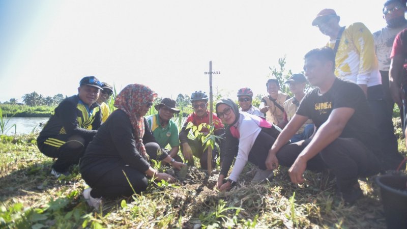 Bupati Luwu Utara Tanam 200 Pohon di Bantaran Sungai Baliase