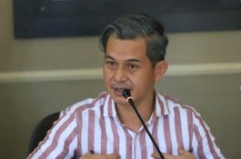 Januar Jaury: Formula E Kenalkan Indonesia ke Dunia Internasional