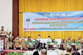 Percepatan Penurunan Stunting, Wabup Wajo Ingatkan 1.000 Hari Pertama Kehidupan