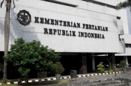 BPS: Tiga Besar Penyumbang PDB Nasional, Pertanian Berkontribusi 12,98 Persen