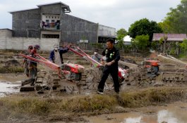 Produksi Pangan Nasional Meningkat, Bukti Program Pertanian Pusat dan Daerah Berhasil