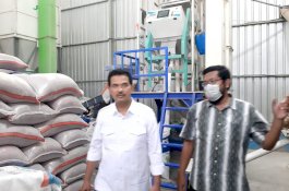 Kementan Dorong Kebijakan Harga untuk Kesejahteraan Petani dan Konsumen