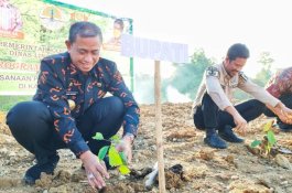 Penanaman Sejuta Pohon, Bupati Wajo: Lestarikan Lingkungan, Bernilai Ekonomi
