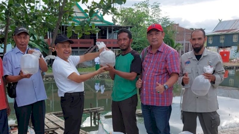 Penyaluran bantuan benur udang windu kepada petambak di Kabupaten Maros.