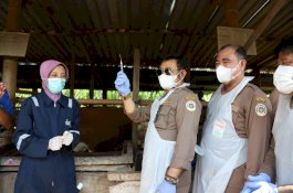Mentan SYL Vaksinasi PMK Perdana di Jateng dan Apel Siaga