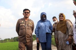 Mentan SYL Cek Pertanaman Padi Pola IP400 di Klaten
