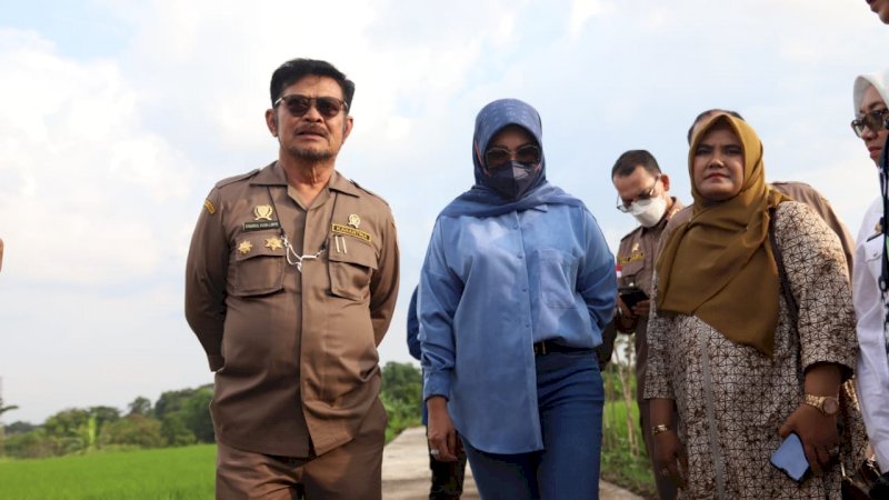 Mentan SYL Cek Pertanaman Padi Pola IP400 di Klaten