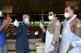 Agar Vaksinasi Merata, Peternak Diminta Tidak Tutupi Kondisi Hewan