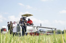 FAO Apresiasi Capaian Kinerja Pertanian Indonesia