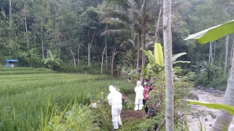 Bangkai Domba yang Ditemukan di Sungai Serang, Semarang Dipastikan Negatif PMK