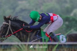 Kuda Asal Jeneponto Dikontrak Perebutkan Piala Presiden