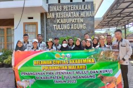 Tangani PMK di Tulungagung, Kementan Turunkan Tim Relawan