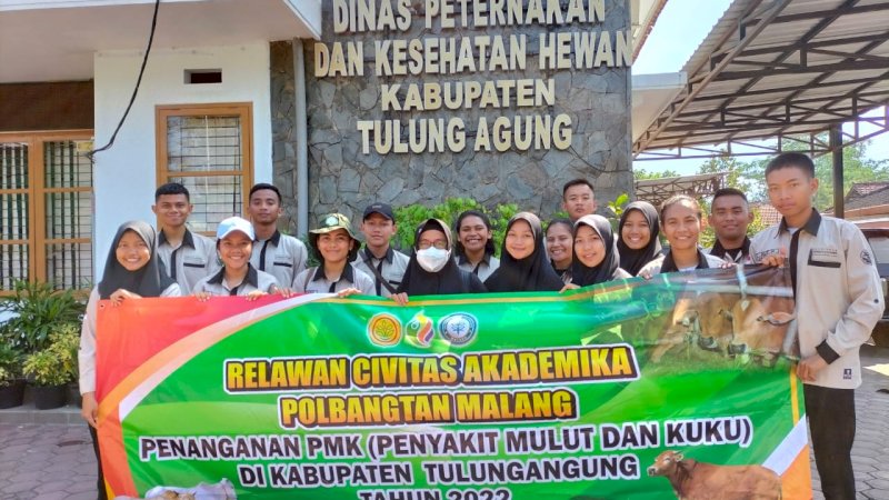 Tangani PMK di Tulungagung, Kementan Turunkan Tim Relawan