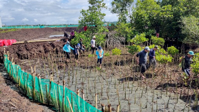 DKP Sulsel Tanam 38 Ribu Batang Mangrove di Kabupaten Bone