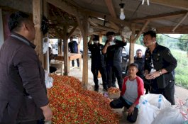 Perppu Cipta Kerja Mudahkan Pelaku Usaha Sektor Pertanian Dapat Izin Usaha