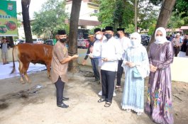Polda Sulsel Kurban 673 Ekor Sapi dan 22 Kambing
