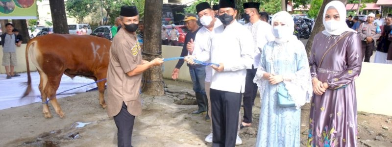 Polda Sulsel Kurban 673 Ekor Sapi dan 22 Kambing