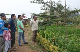 Lanjutkan Program Agroforestry Tombolo, Kalla Target Tanam 20.000 Bibit Pohon