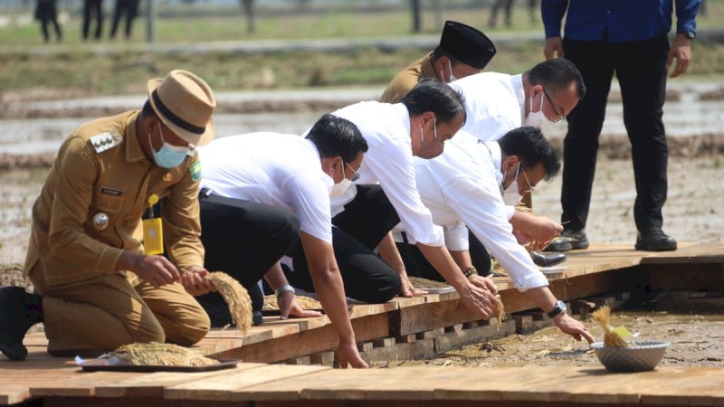 Jokowi Apresiasi Lompatan Kerja Kementan Dalam Produksi Benih Unggul Padi