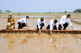 Dalam Kunker Jokowi, Kementan Pastikan Sagu dan Kelapa Terus Dikembangkan