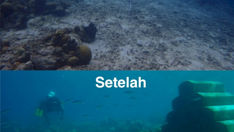 Penampakan sebelum dan sesudah rehabilitasi di Pulau Salebbo, Desa Mattoro Walie, Kecamatan Liukang Tuppabiring Utara, Kabupaten Pangkep. 