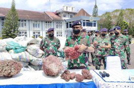 Lantamal VI Makassar Gagalkan Penyelundupan Terumbu Karang Merah, Kerugian Negara Ditaksir Rp2,5 Miliar