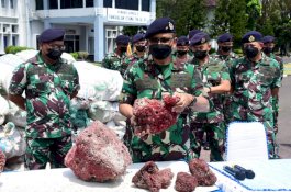 Lantamal VI Makassar Gagalkan Aksi Penyelundupan Terumbu Karang Merah di Pangkep