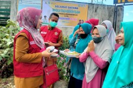 Tenaga Kesehatan Teladan Asal Parepare Wakili Provinsi Sulsel ke Nasional