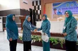 Ketua TP PKK Kota Palopo Sosialisasikan Program 'Aku Hatinya PKK'
