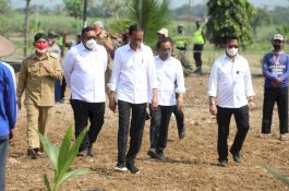 Di Solo Raya, Presiden Jokowi Lakukan Pencanangan Tanam Kelapa Genjah 1 Juta Batang Se Indonesia