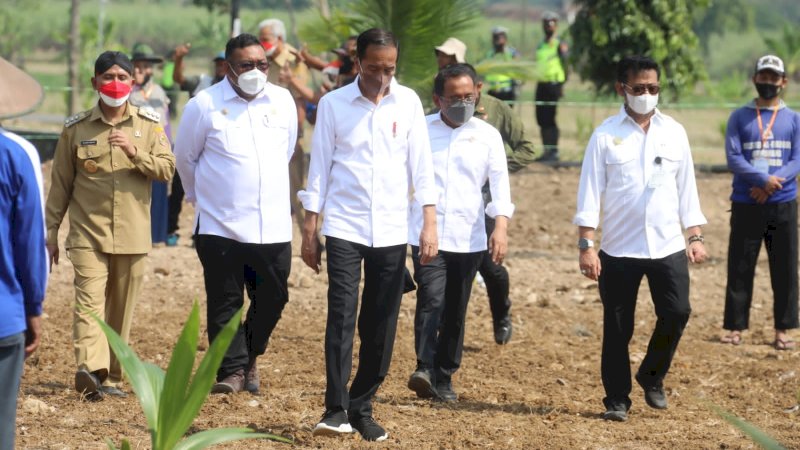 Di Solo Raya, Presiden Jokowi Lakukan Pencanangan Tanam Kelapa Genjah 1 Juta Batang Se Indonesia