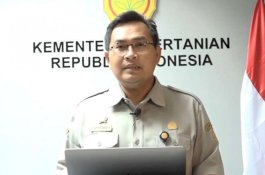 Tanggapan Kementan Terhadap Isu Mie Instan: Pemerintah Ajak Masyarakat Waspadai Ancaman Krisis Pangan Global