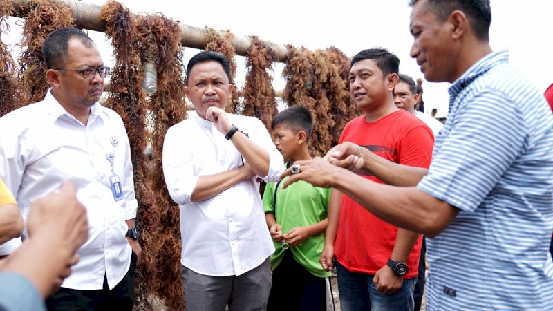 Bantaeng Punya Kebun Bibit Rumput Laut