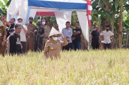Pemkab Gowa Ajak Petani Gunakan Pupuk Organik