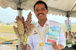 Wujudkan One Village One Product, Kementan Dorong Pengembangan Olahan Sorgum