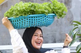 Kunjungi Longwis Bara-Baraya, Wakil Wali Kota Makassar Panen Selada